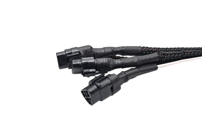 MADDOG WIREHARNESS